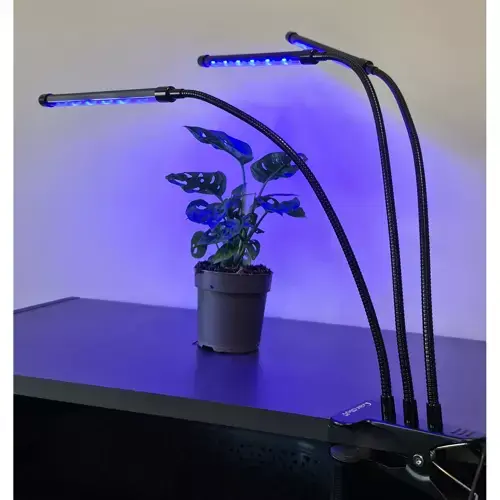 lampa led do wzrostu roślin