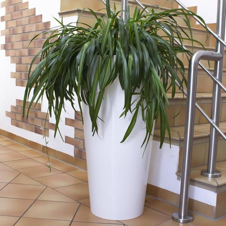 Doniczka DTUS150S z połyskiem – aranżacja z paprocią na tle ceglanej ściany