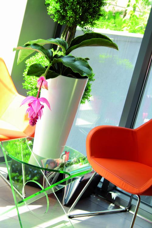 Doniczka Tubus Slim Shine DTUS150S – zbliżenie na roślinę w białej doniczce połysk, aranżacja ogrodowa