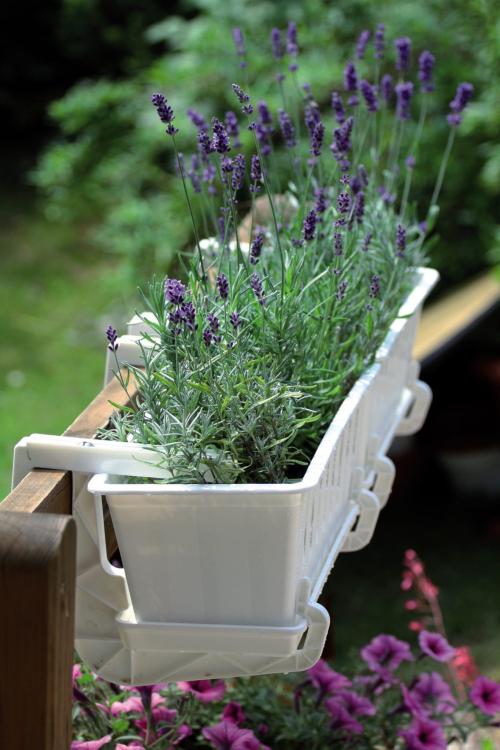 Uchwyt HANGPLAST balkonowy do doniczek