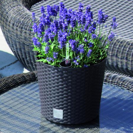 Doniczka Rato okrągła DRTUS200L z wkładem