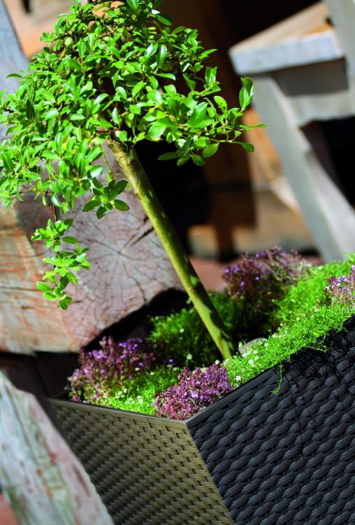 Doniczka kwadratowa, rattanowa RATO Low DRTS265L z wkładem