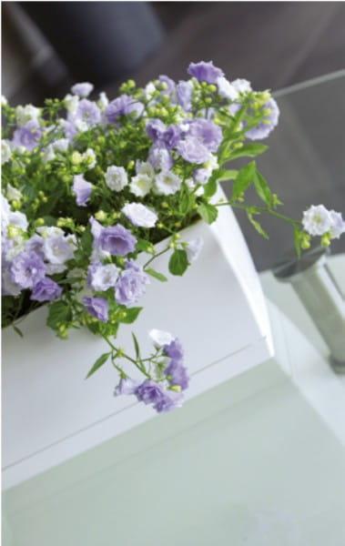 Doniczka podłużna, połysk COUBI DUPP400 z podstawką