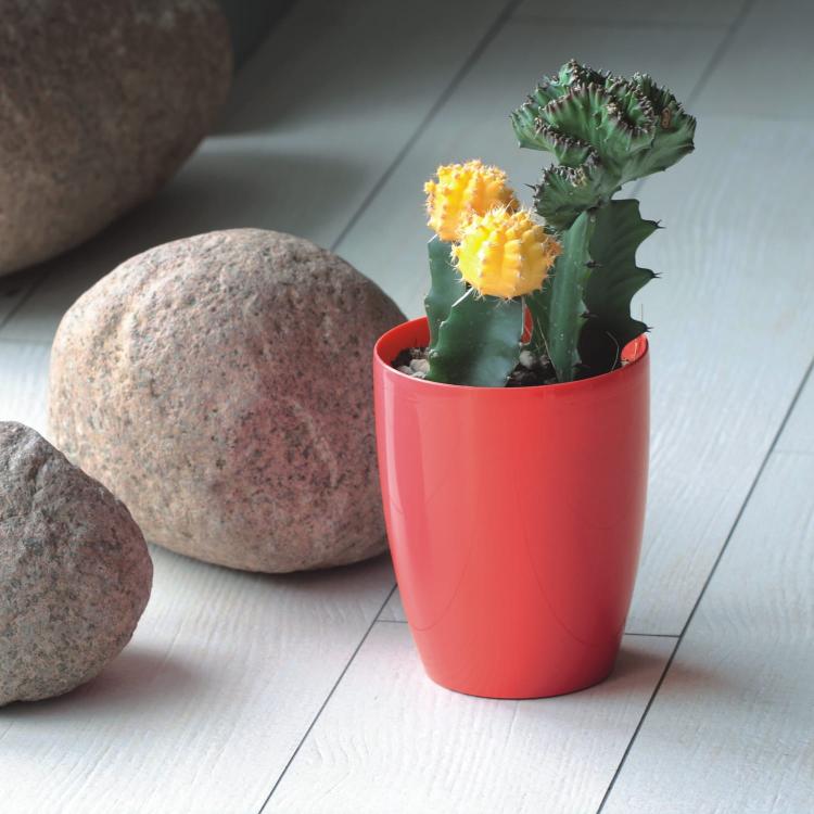 Doniczka do storczyków COUBI DUOW130