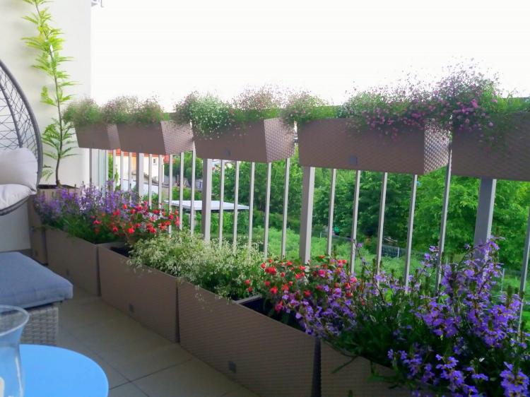 20170618_205017 - Kopia.jpg