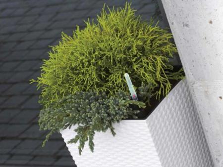 Wkład nawadniający do RATO DRTS325 i URBI DURS325