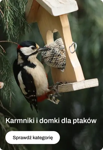 Slider 2 - Mobile